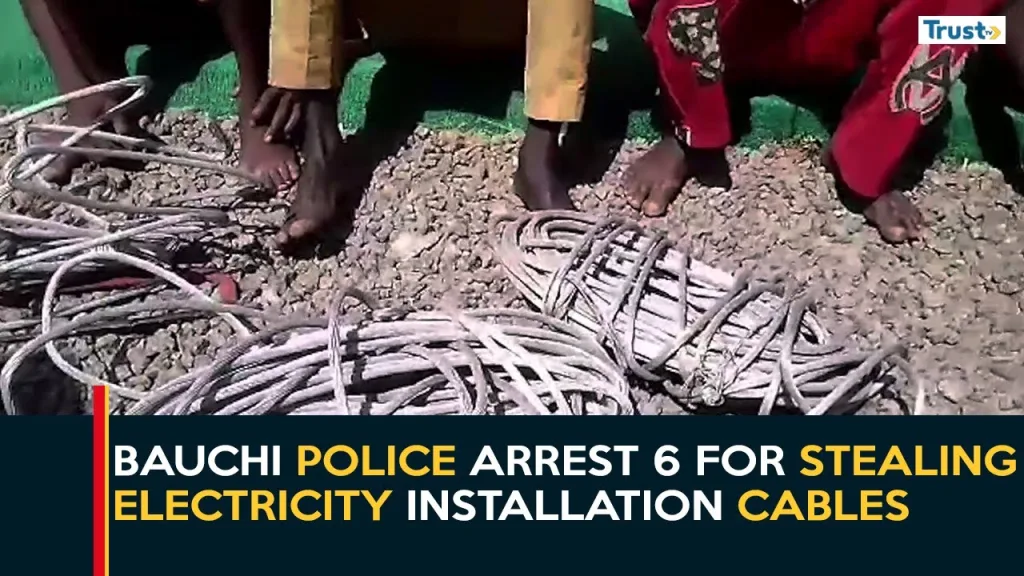 Bauchi police arrest 6 for stealing electricity installation cables