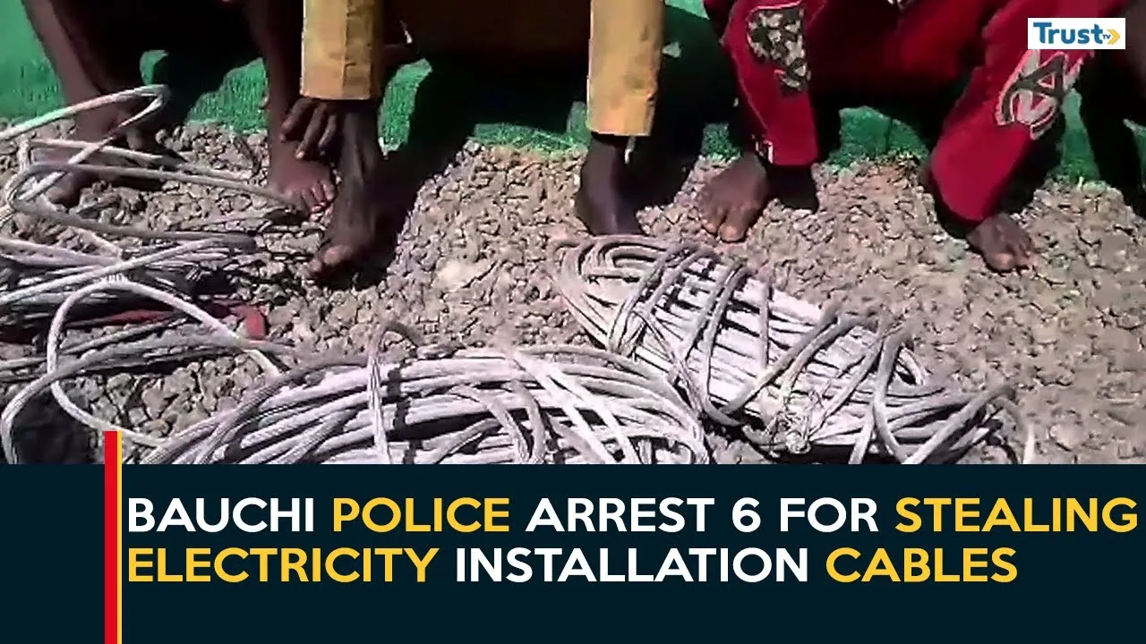 Bauchi police arrest 6 for stealing electricity installation cables
