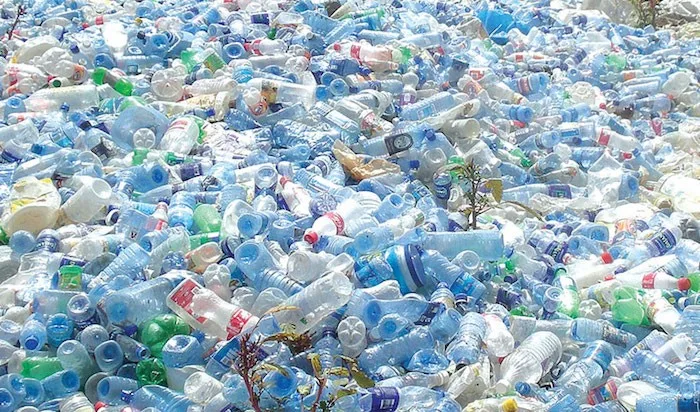 Calls for Ban on Single-Use Plastics in Edo