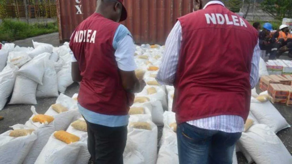 Customs Intercepts Huge Drug Haul in Ogun, Hands Over to NDLEA