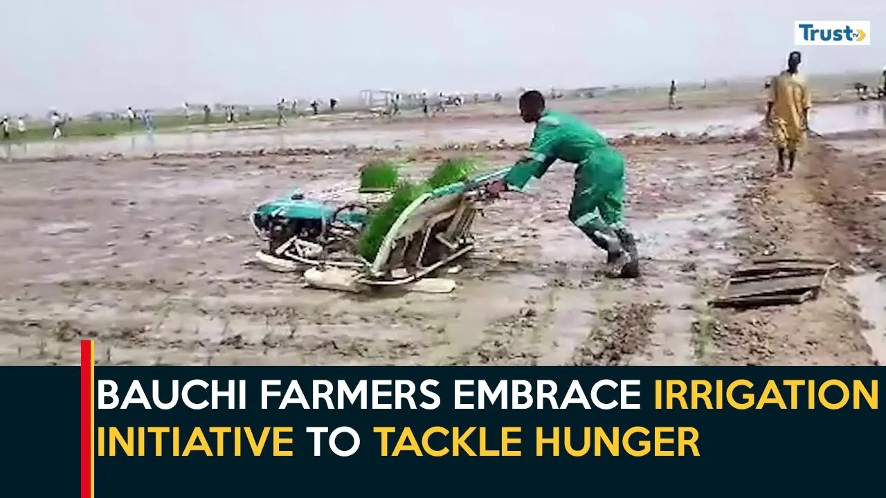 Boosting Food Security: Bauchi Farmers Embrace Irrigation Initiative To Tackle Hunger