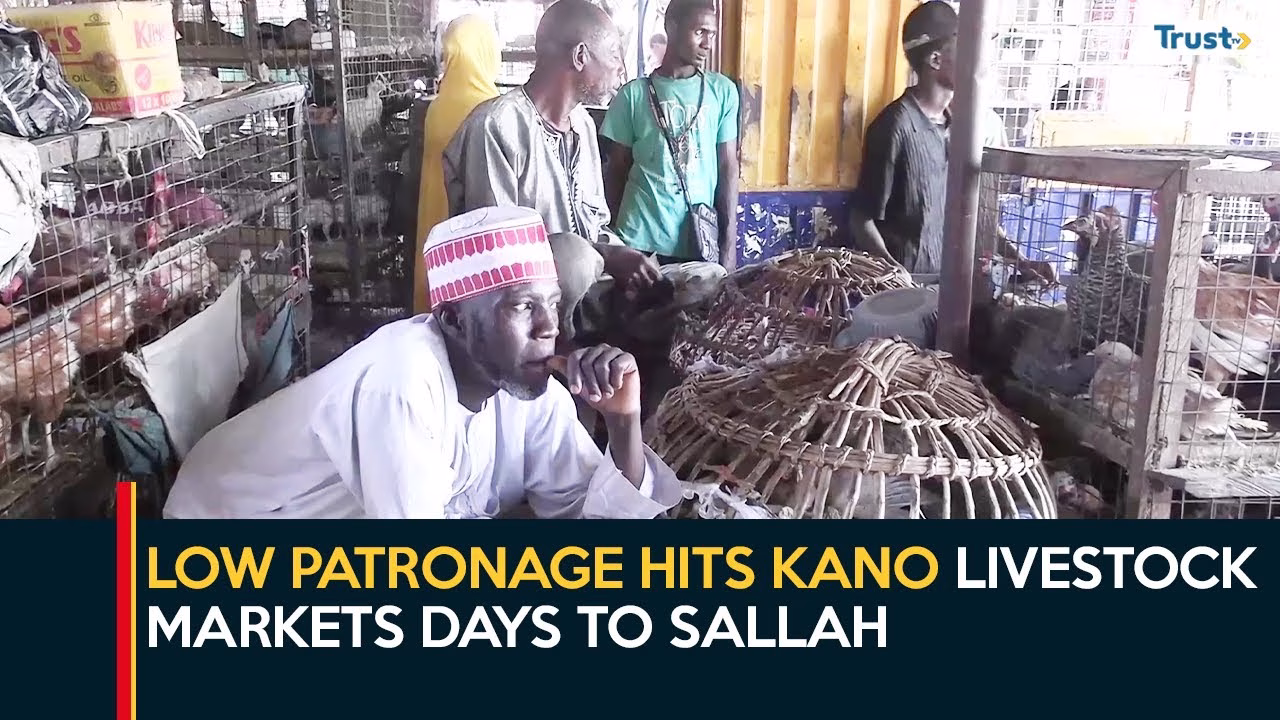 Low patronage hits Kano livestock markets days to Sallah