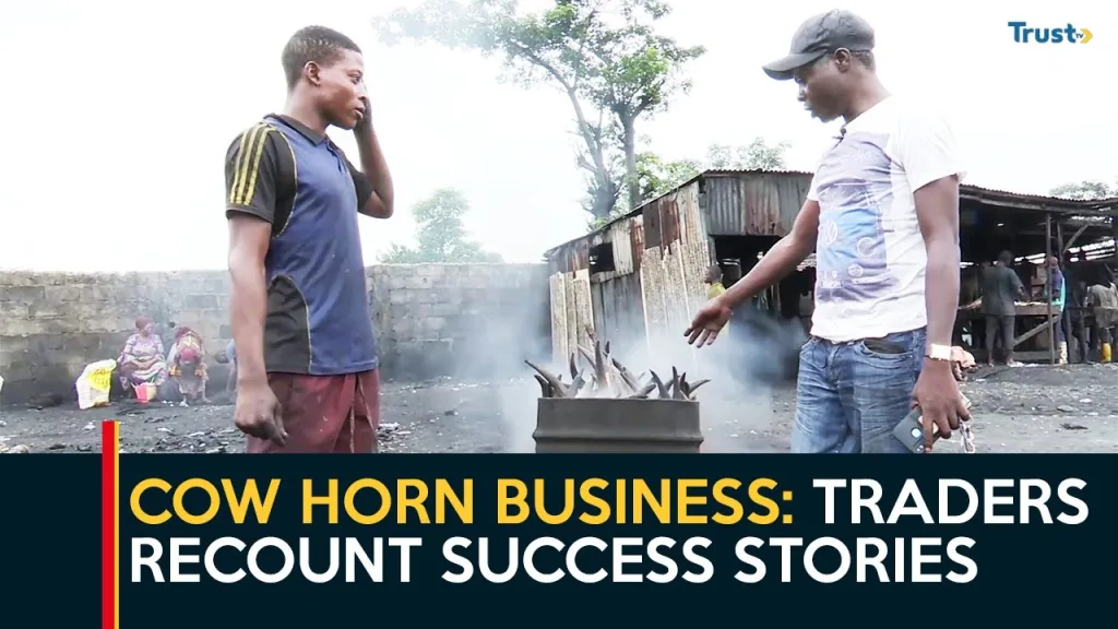 Kaduna Cow Horn Business: Traders recount success stories, urge govt intervention to employ more youths
