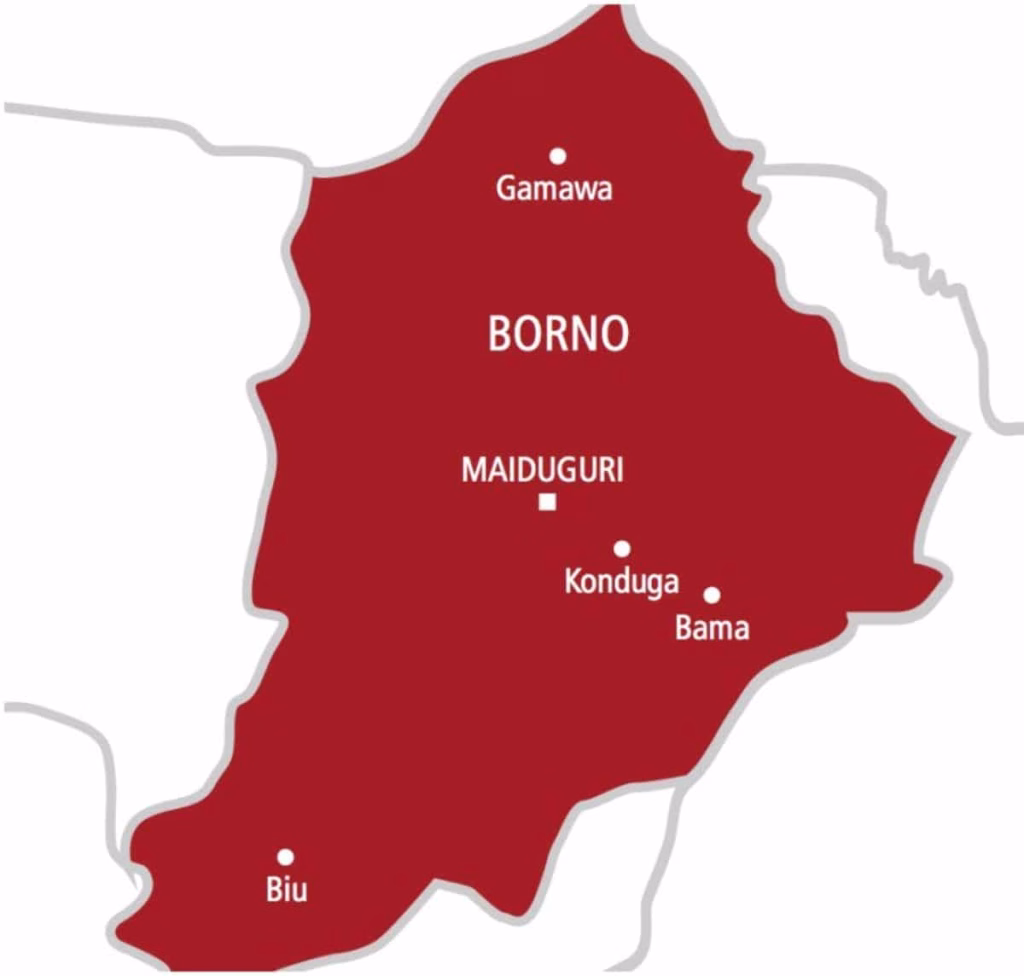Boko Haram Kills 2 Vigilantes, 10 Firewood Gatherers in Borno
