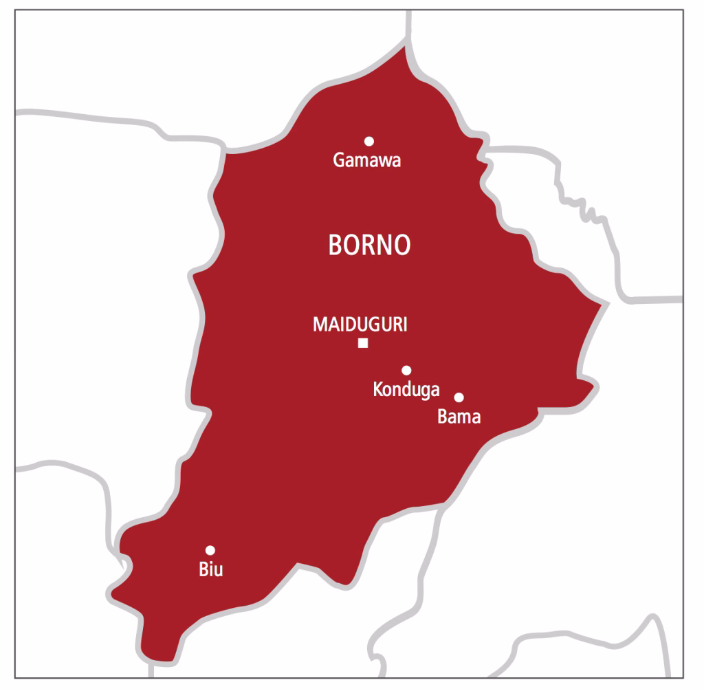Borno: Landmine Kills 8 on Maiduguri–Damboa Road