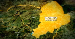 Troops foil abduction of female students in Borno School
