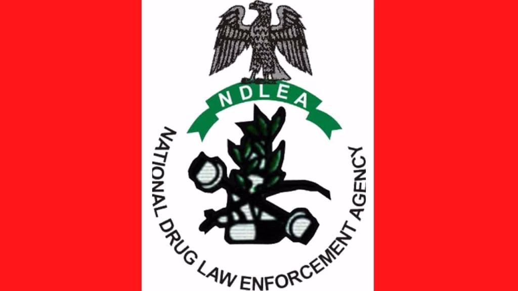 NDLEA Sets Record 1.6 Million Kilos of Seized Drugs