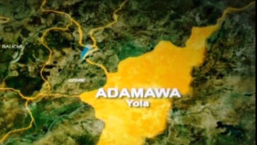Woman Attacks Ex-Husband’s Fiancée With Hot Water in Adamawa