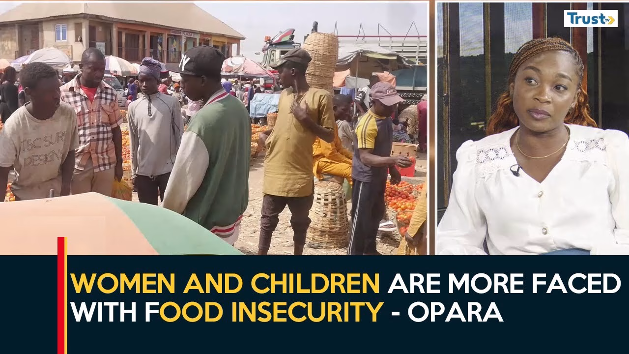 Nigeria’s Food Security: What are the challenges and solutions?