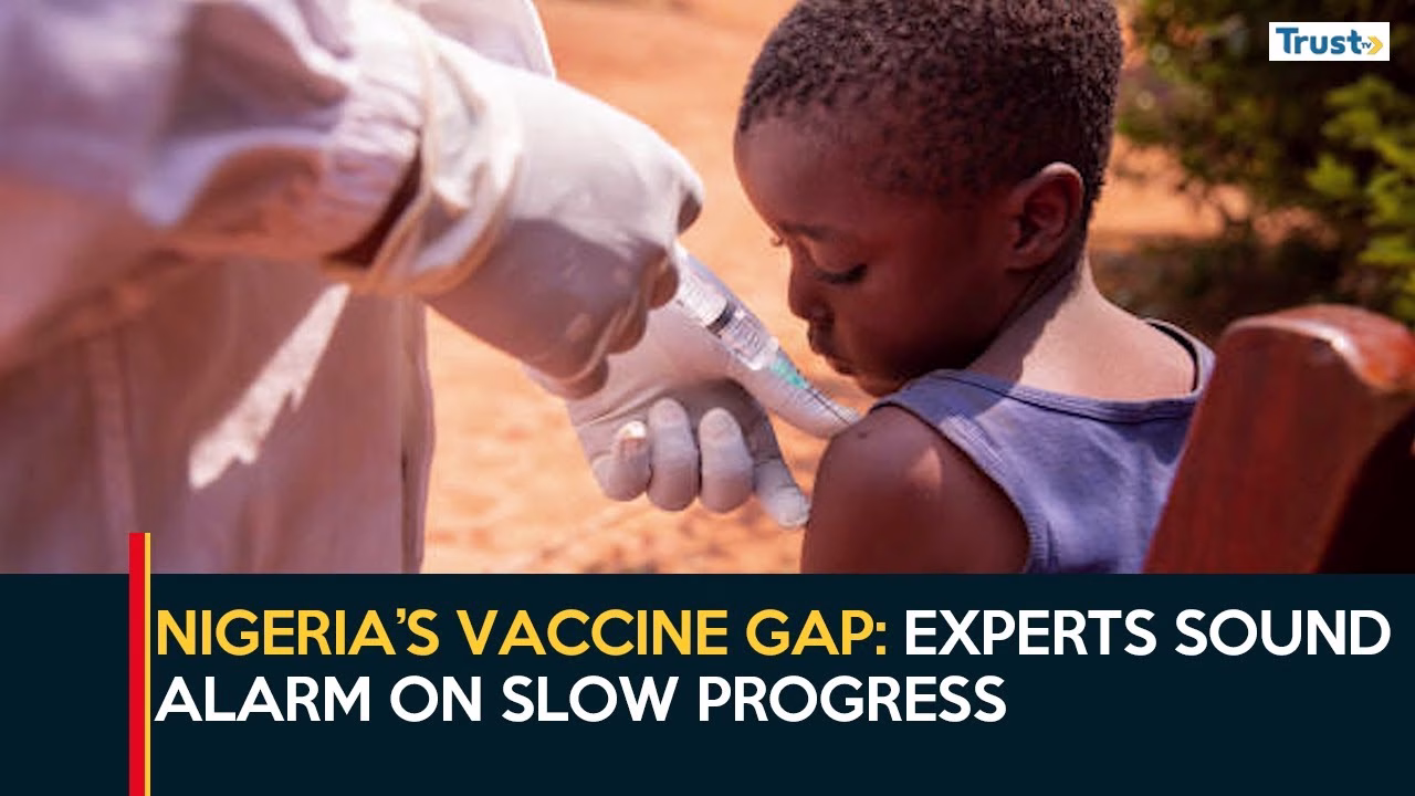 Nigeria’s Vaccine Gap: Experts sound alarm on slow progress