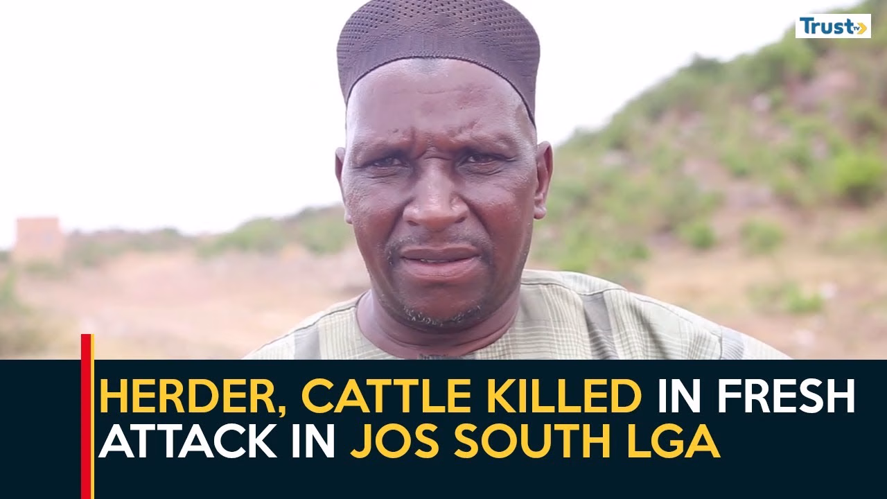 Plateau Insecurity: Herder, cattle killed in fresh attack in Jos South LGA