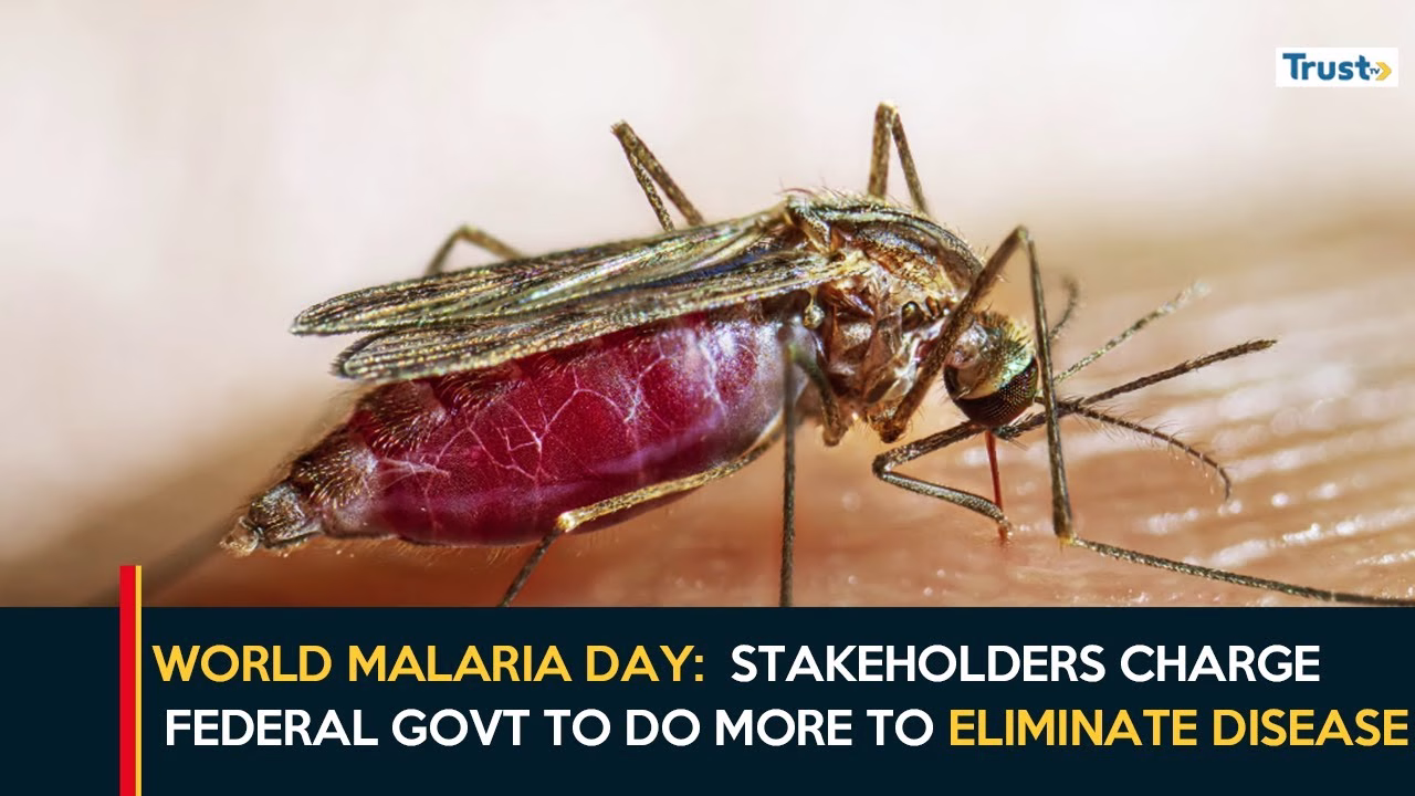 2025 World Malaria Day: Stakeholders charge federal, state govts to do more to eliminate disease