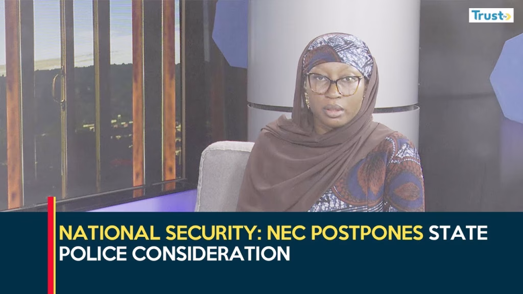 National Security: NEC postpones state police consideration
