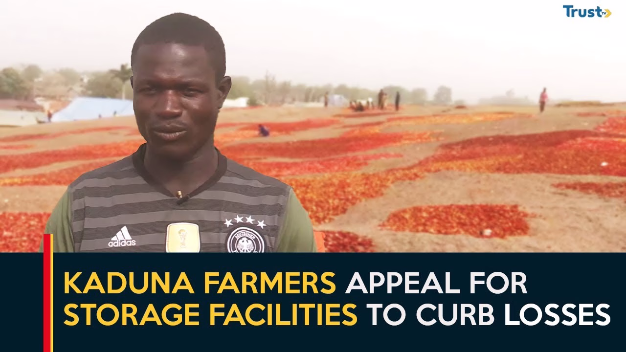 Kudan farmers appeal for storage facilities, processing factory to curb losses