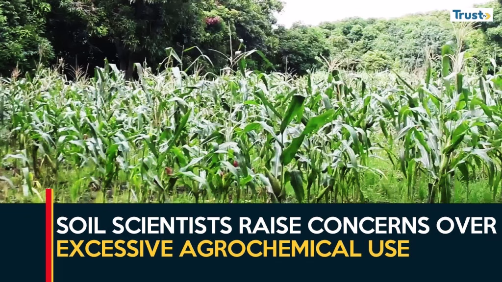 Excessive Agrochemical Use: Soil scientists raise concerns over long-term impact on soil health