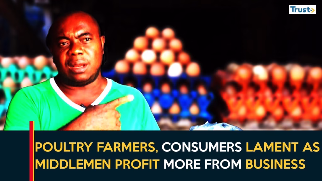 Egg Prices Manipulation: Farmers, consumers lament as middlemen profit more from business