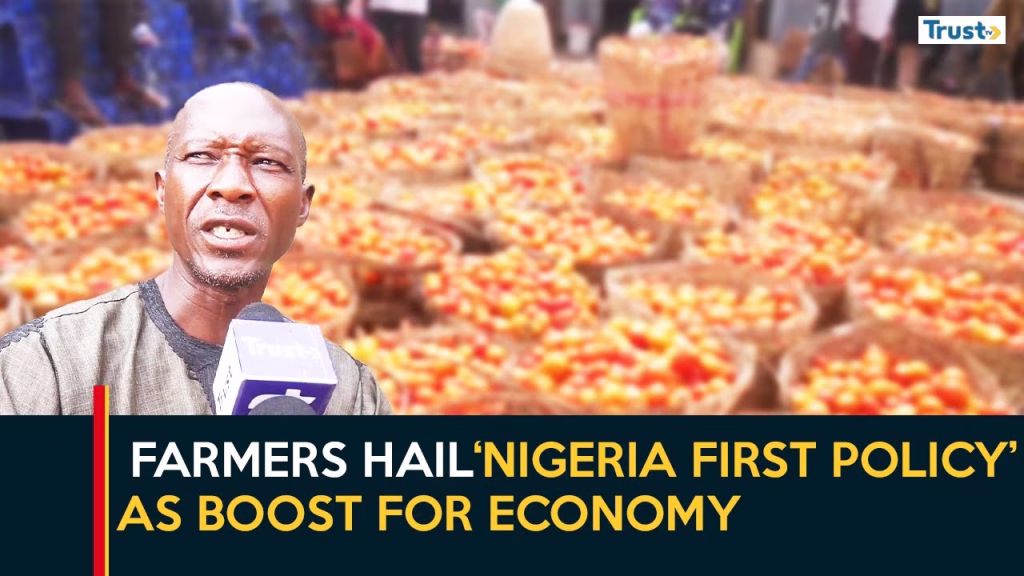 Farmers, experts hail ‘Nigeria first policy’ as boost for economy