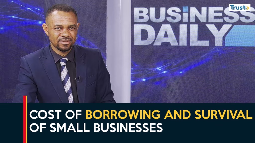 Cost of borrowing and survival of small businesses
