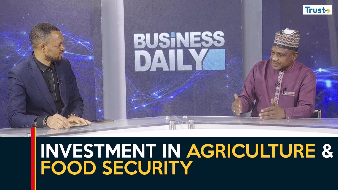 Kaduna Agriculture: Ginger farmers fear poor harvest amid seed scarcity, disease threat