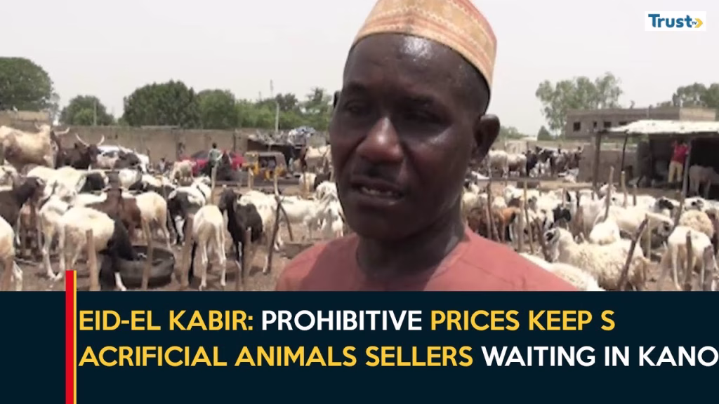 Eid-El Kabir: Prohibitive prices keep sacrificial animals sellers waiting in Kano