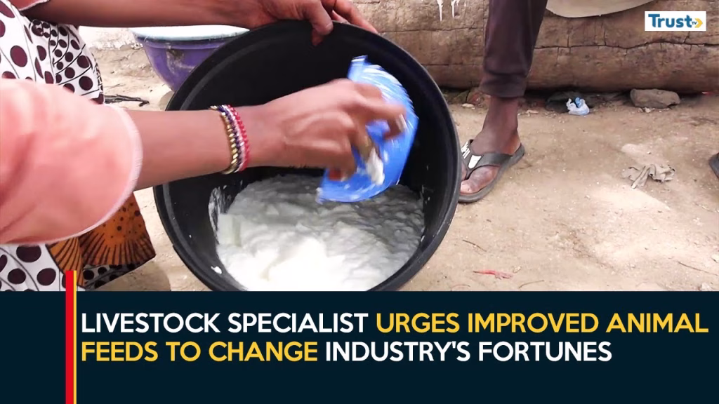 Milk Production: Livestock specialist urges improved animal feeds to change industry’s fortunes