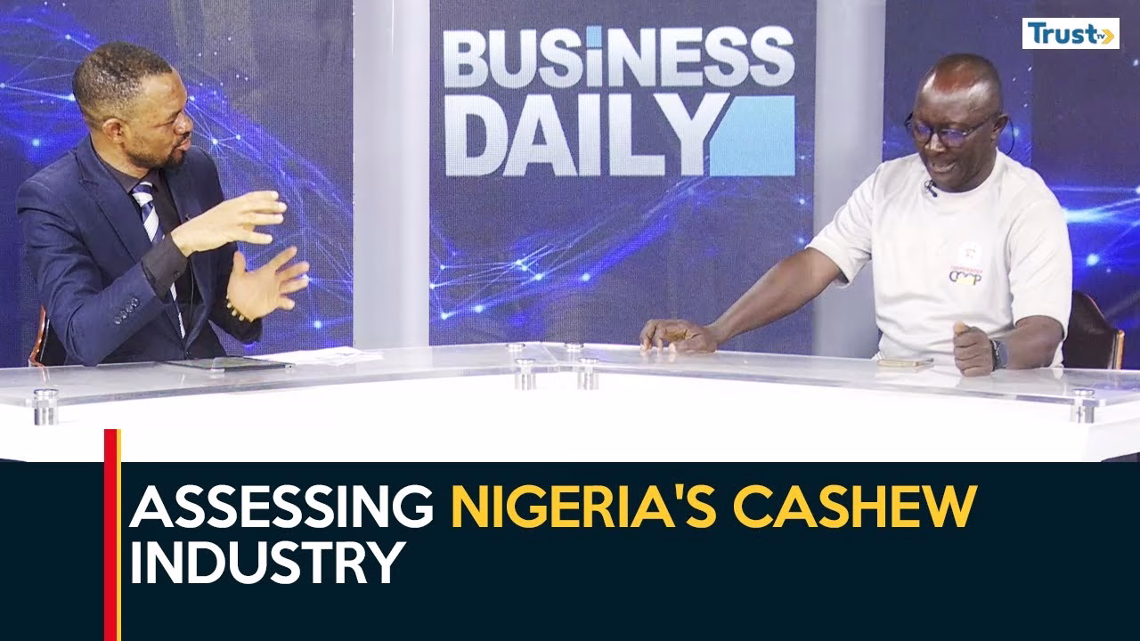 Assessing Nigeria’s cashew industry