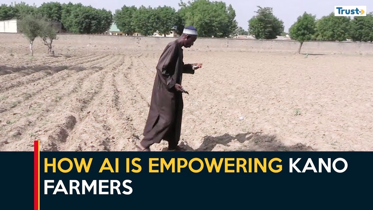 How AI is empowering Kano farmers