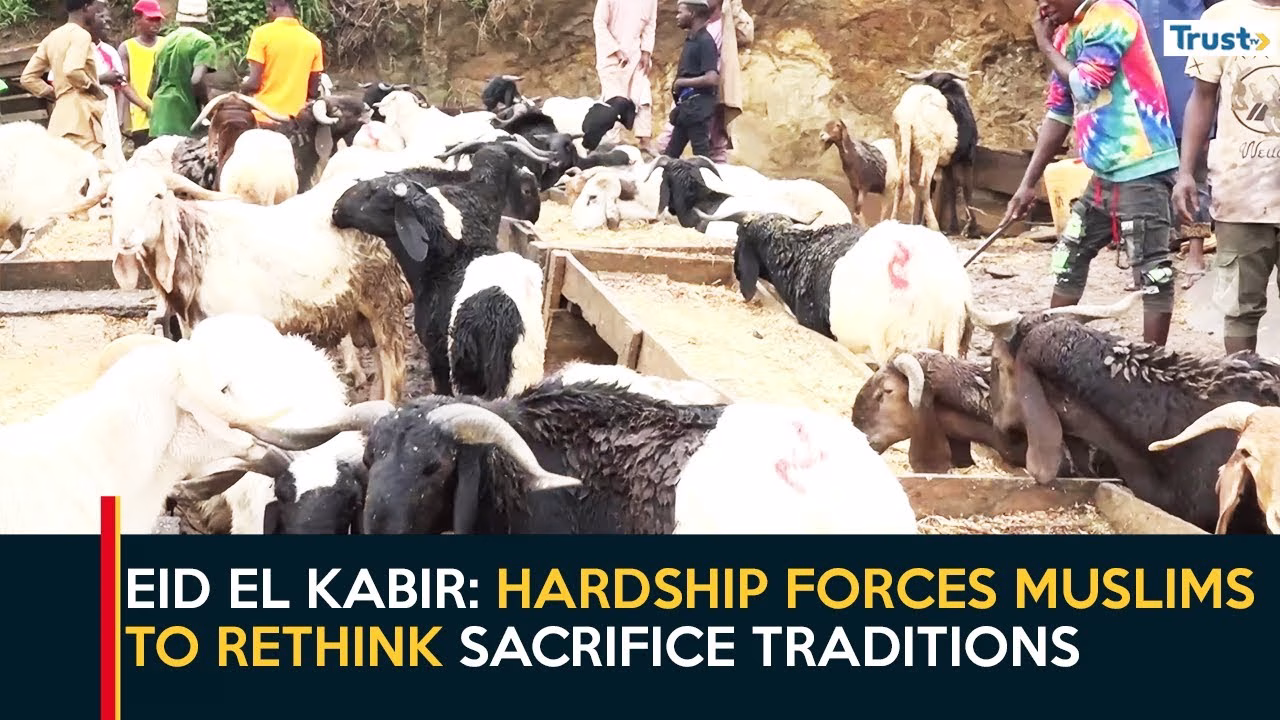 Eid El-Kabir: Hardship forces muslims to rethink sacrifice traditions