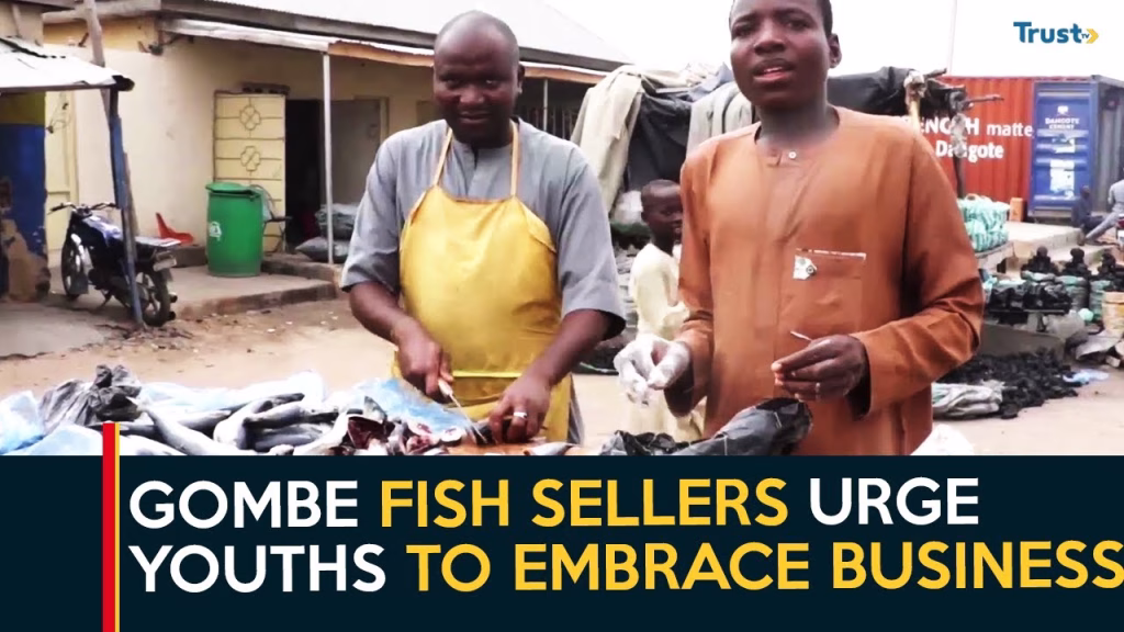 Gombe fish sellers urge youths to embrace business