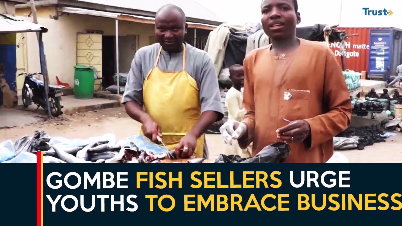 Gombe fish sellers urge youths to embrace business