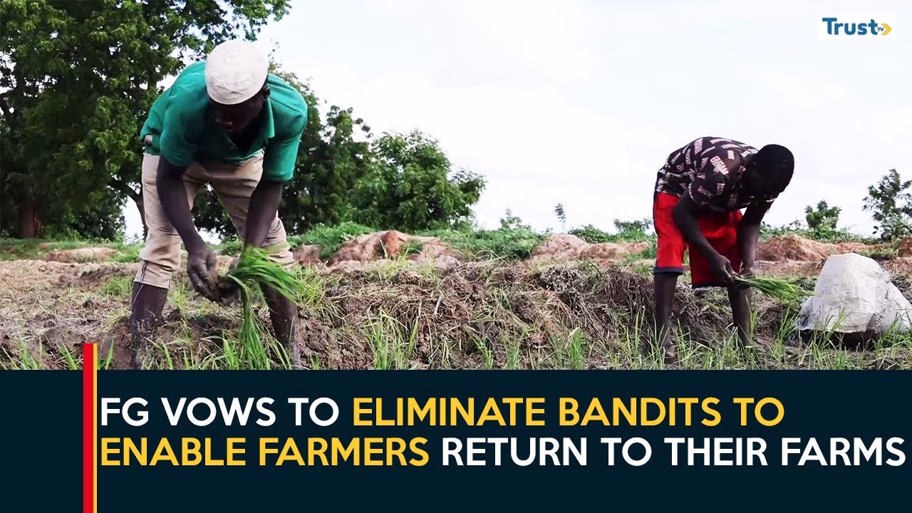 Boosting Agriculture: FG vows to eliminate bandits to enable farmers return to their farms