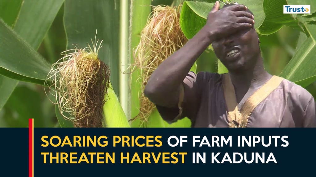 Soaring prices of farm inputs threaten harvest in Kaduna
