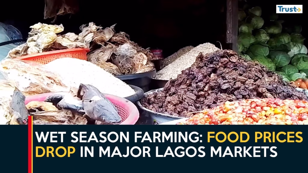 Wet Season Farming: Food prices drop in major Lagos markets
