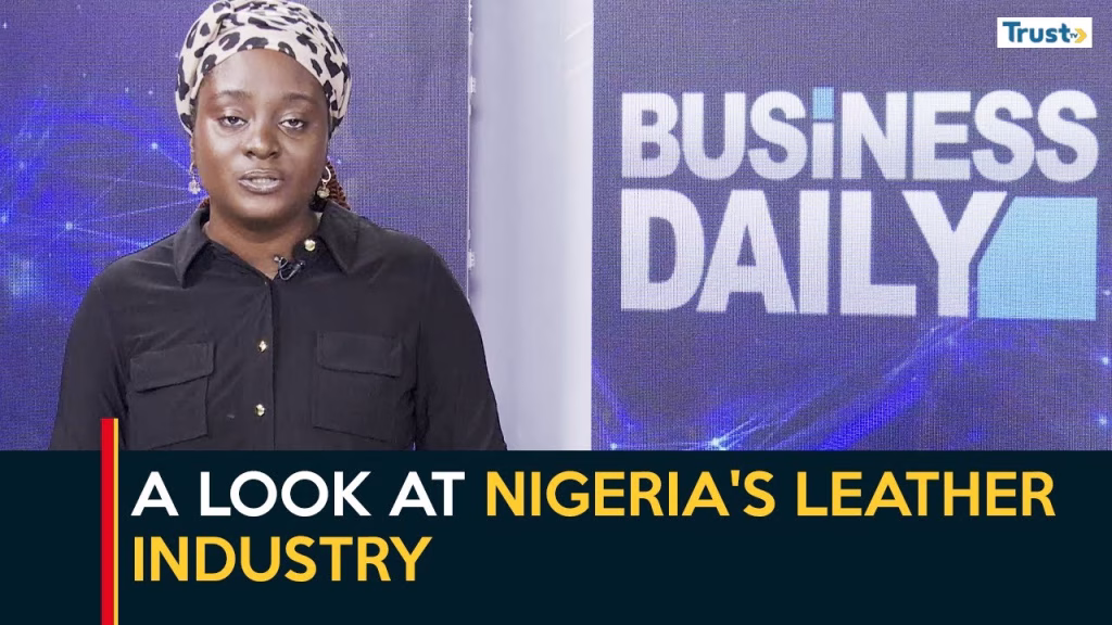  A look at Nigeria’s leather industry