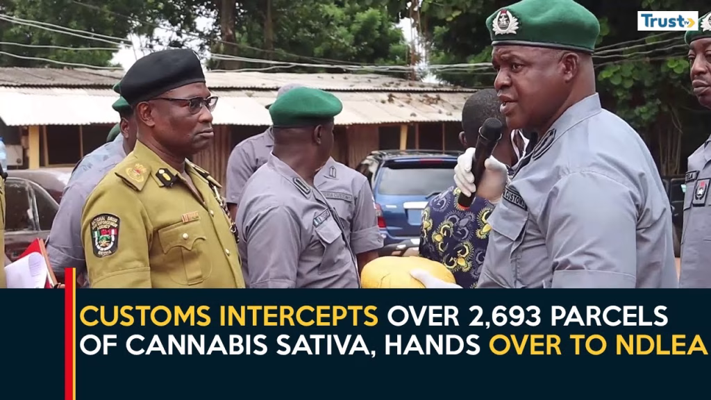 Customs intercepts over 2,693 parcels of cannabis sativa, hands over to NDLEA