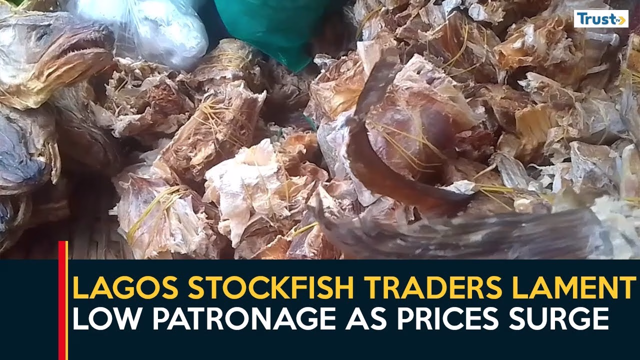 Stockfish traders lament low patronage as prices surge in Lagos