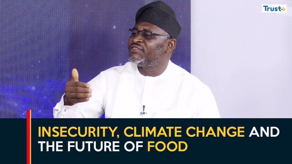 Insecurity, climate change and the future of food 