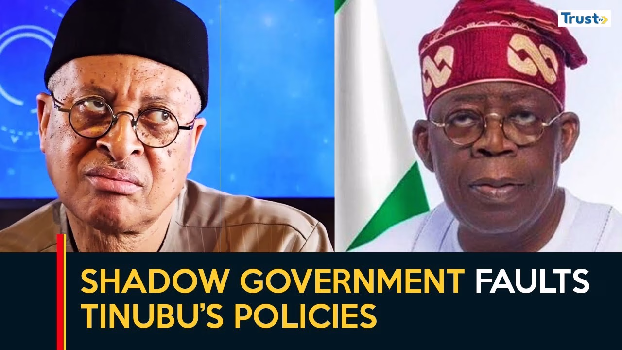 Policy Critique: Shadow government faults Tinubu policies