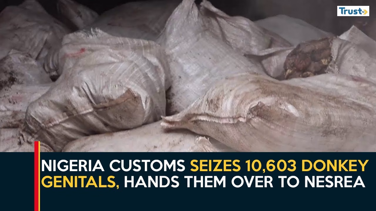 Nigeria Customs seizes 10,603 donkey genitals, hands them over to NESREA