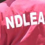 Mexican, others arrested as NDLEA uncovers another meth lab in Oyo forest