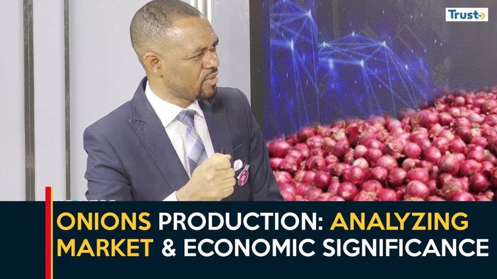 Onions production: Analyzing market & economic significance | Business Daily