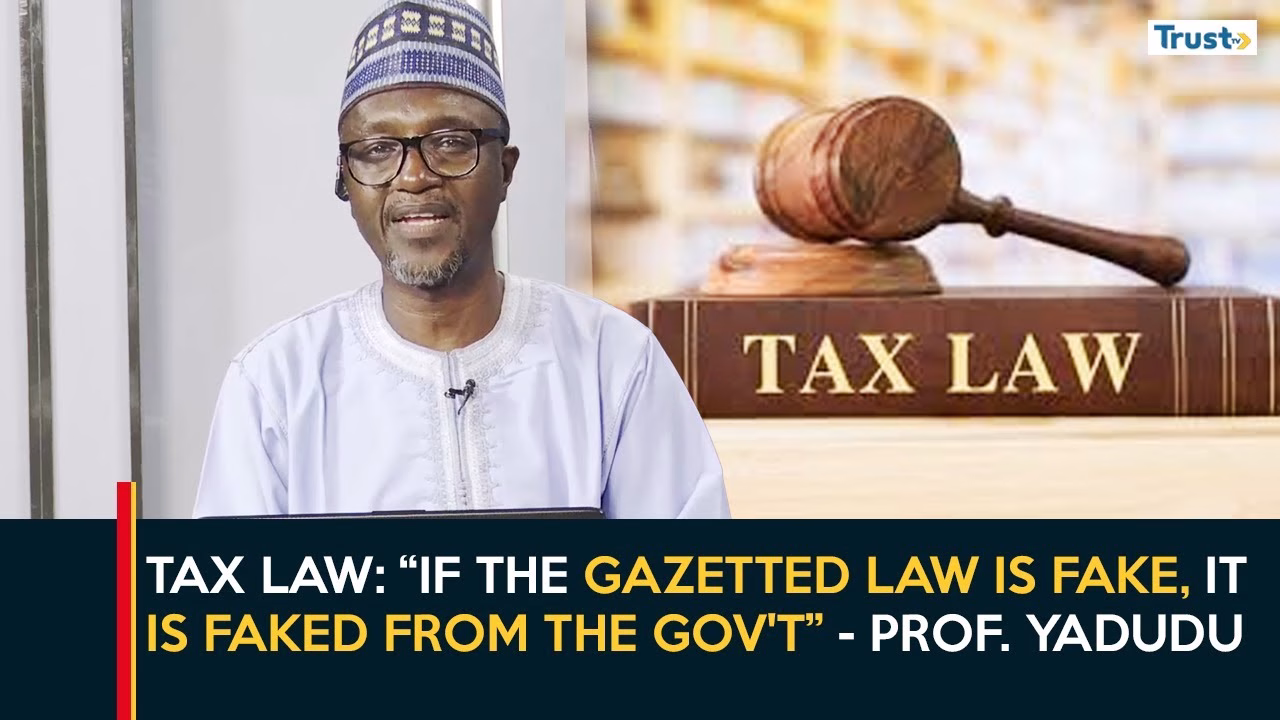 Tax Law: “If the gazetted law is fake, it is faked from the gov’t” – Prof. Yadudu | Daily Politics