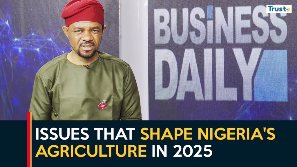 Business Daily: Issues that shape Nigeria’s agriculture in 2025
