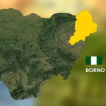 Borno abduction: ISWAP fighters picked all students in classrooms – Police