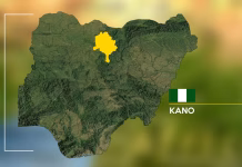 Woman who delivered quintuplets in Kano dies