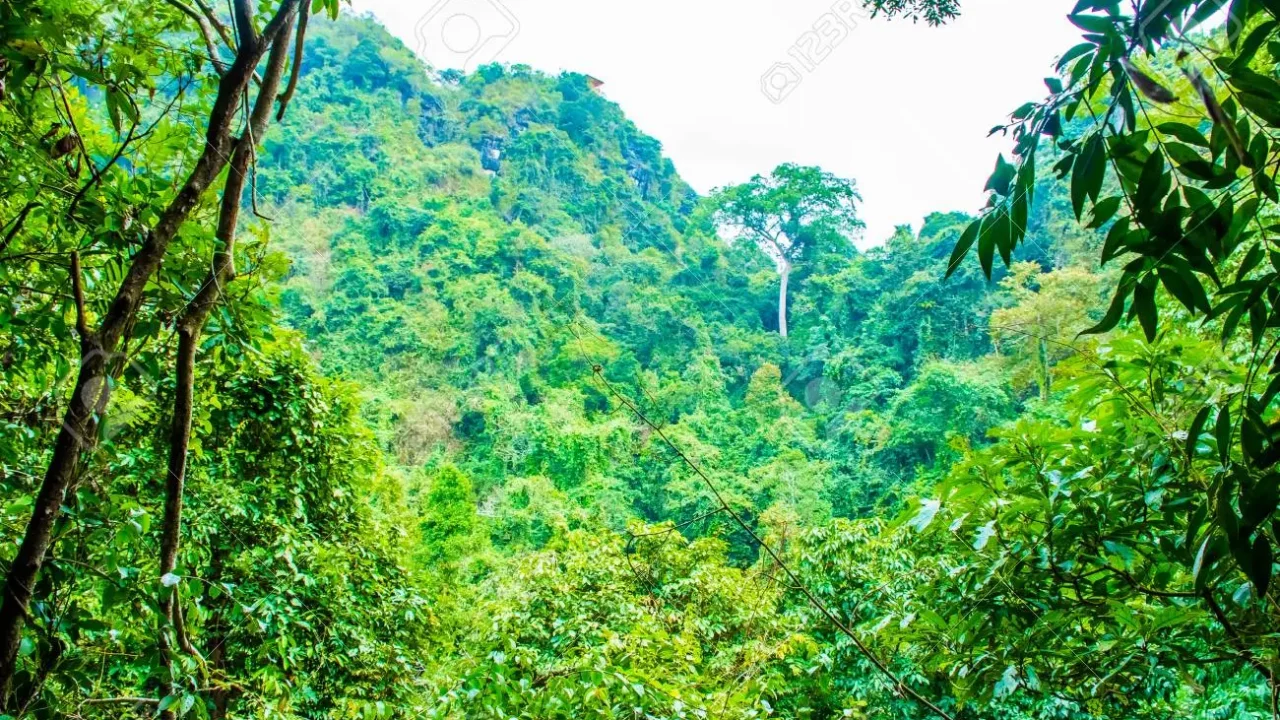 Kidnapped passengers escape as bandits doze off in forest