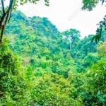 Kidnapped passengers escape as bandits doze off in forest