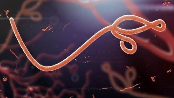 Nigeria’s lone Ebola patient evacuated to Switzerland